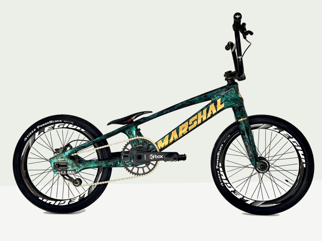 PRESENTATION VELO JUNGLE PRO2XL WEB